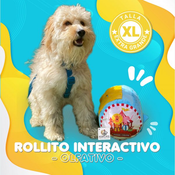 juguete para perros