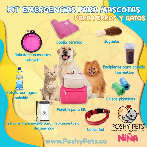 Kit emergencia para perros