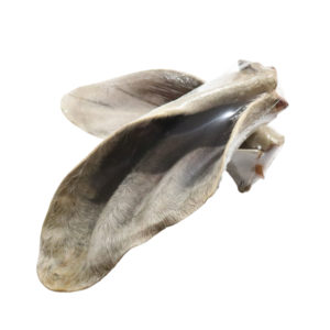 Oreja de Res - Snack Natural Para Perros - Poshy Chew