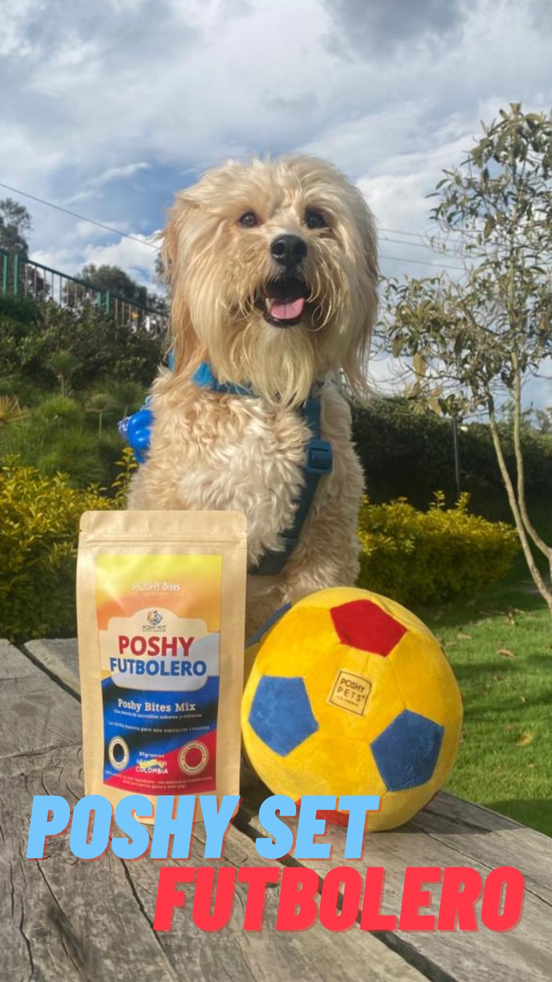Set Poshy Balón Oficial 2026 Imagen 2